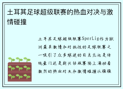 土耳其足球超级联赛的热血对决与激情碰撞 土耳其足球超级联赛的热血对决与激情碰撞